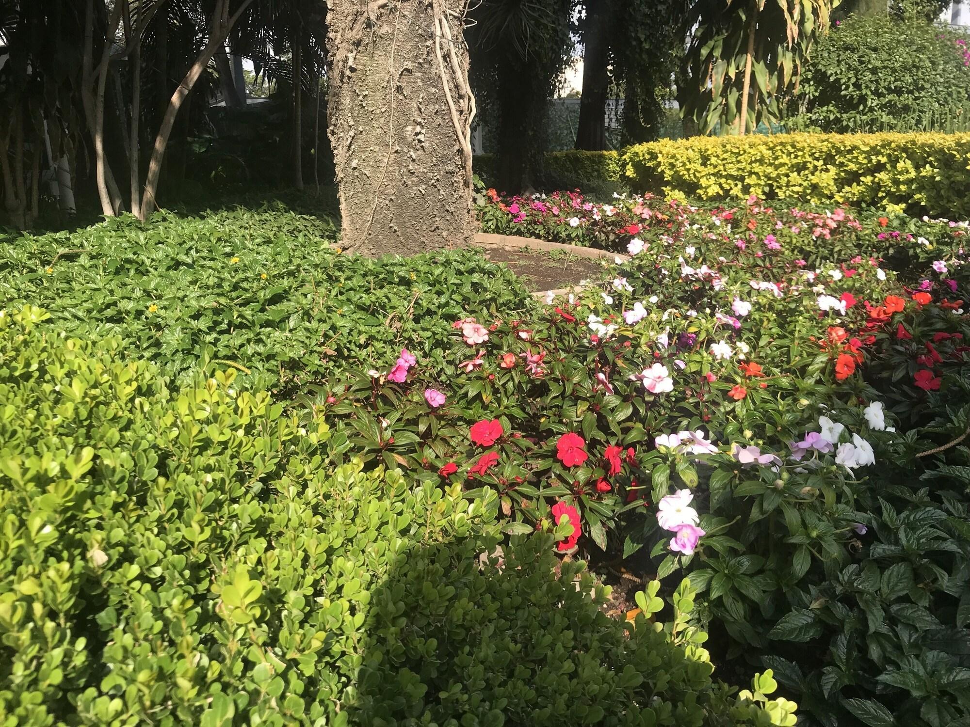 Hotel Ronda Minerva Guadalajara Zewnętrze zdjęcie